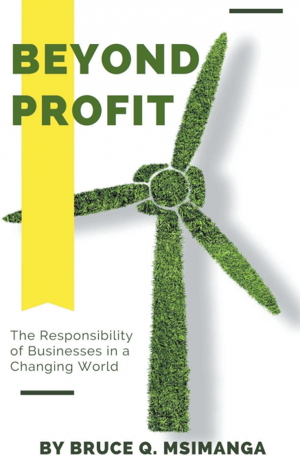 Beyond Profit