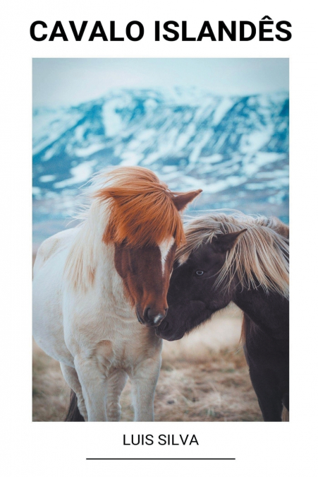 Cavalo Islandês