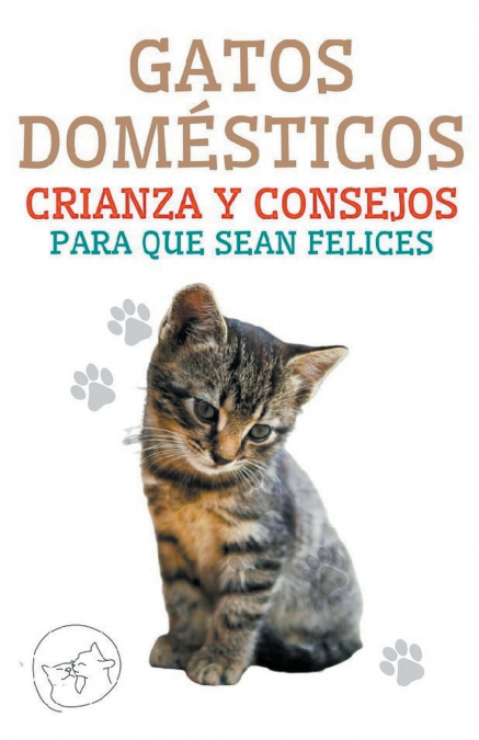 Gatos Domésticos Crianza y Consejos Para que Sean Felices