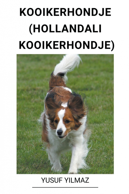 Kooikerhondje (Hollandalı Kooikerhondje)