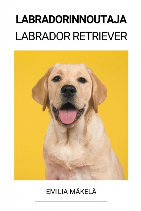 Labradorinnoutaja (Labrador Retriever)