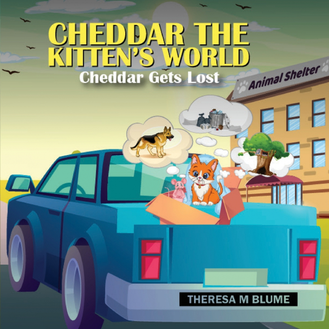 Cheddar The Kitten’s World