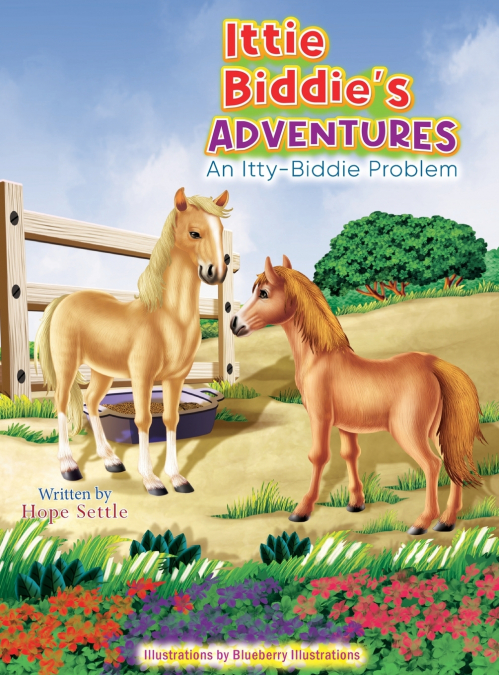 Ittie Biddie’s ADVENTURES ( Itty-Biddie Problem)