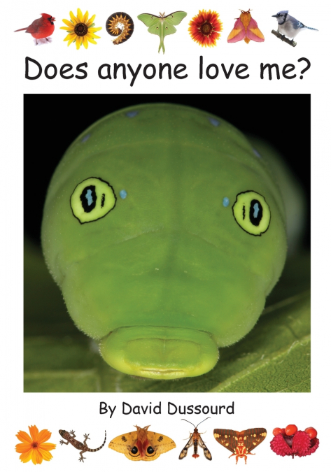 Does Anyone Love Me?