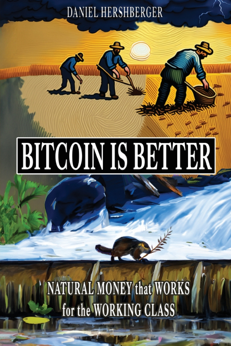 Bitcoin is Better