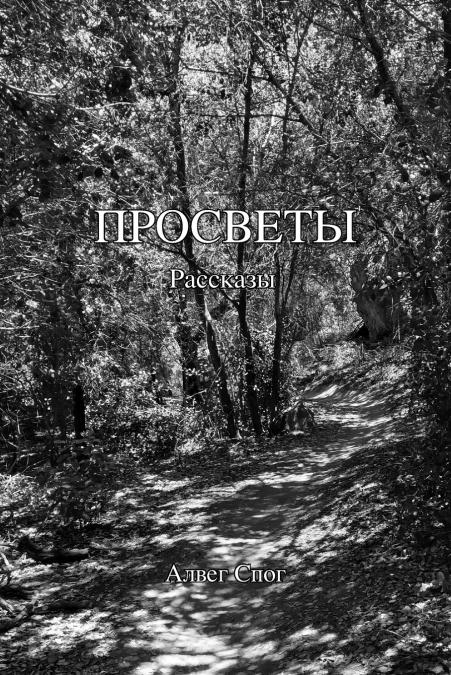 Просветы