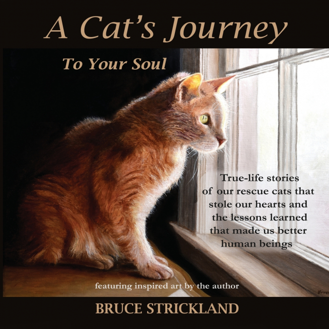 A Cat’s Journey To Your Soul