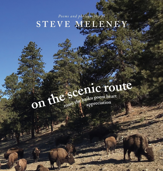 On The Scenic Route