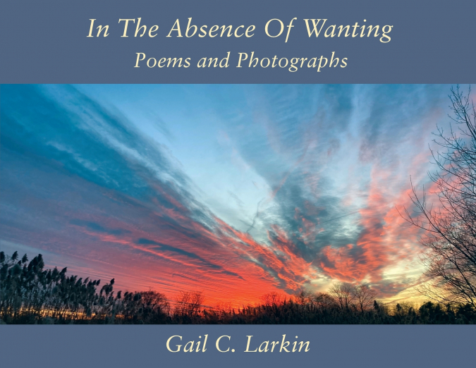 In The Absence Of Wanting