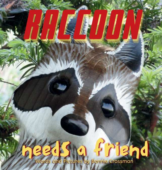 Raccoon Needs a Friend