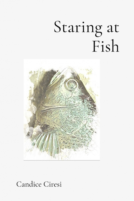 Staring at Fish