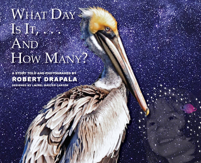 What  Day Is It and How Many?