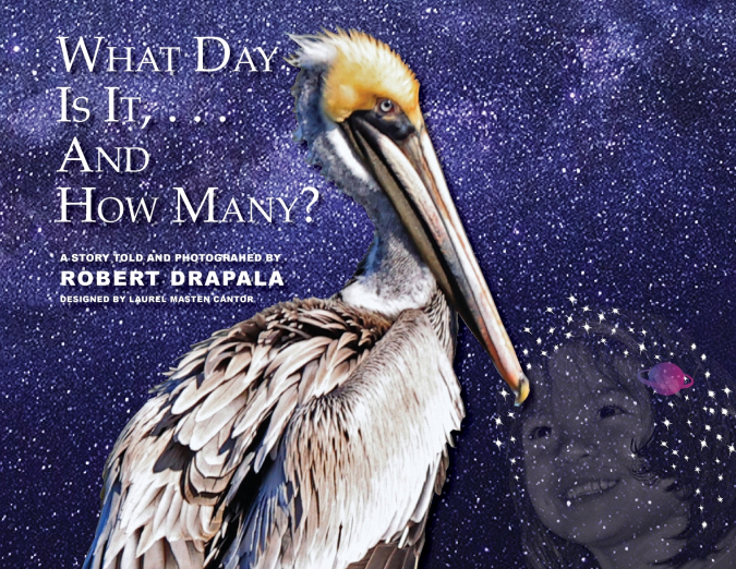 What  Day Is It and How Many?