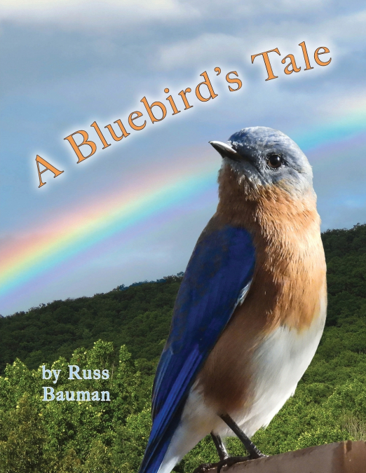 A Bluebird’s Tale