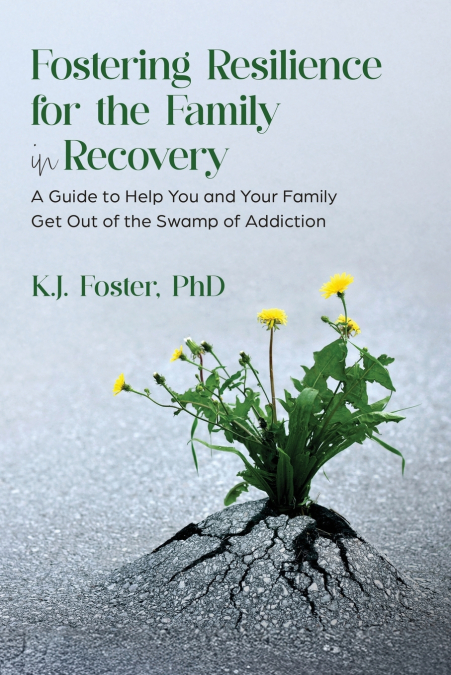 Fostering Resilience for the Family in Recovery