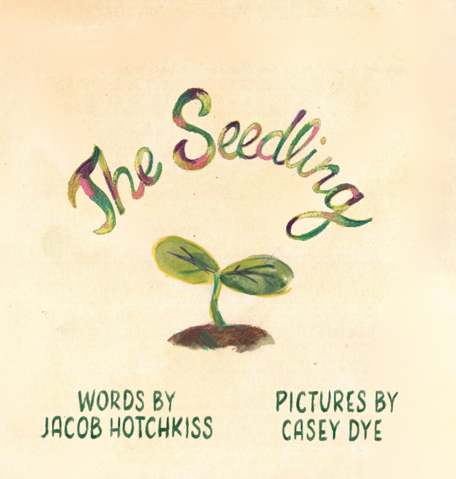 The Seedling