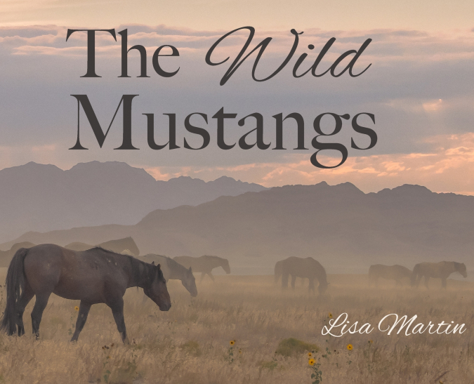 The Wild Mustangs