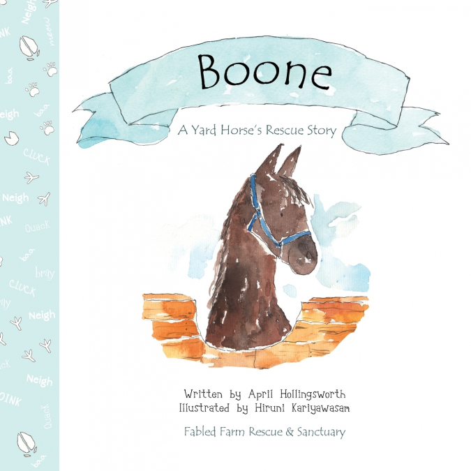 Boone - A Yard Horse’s Rescue Story