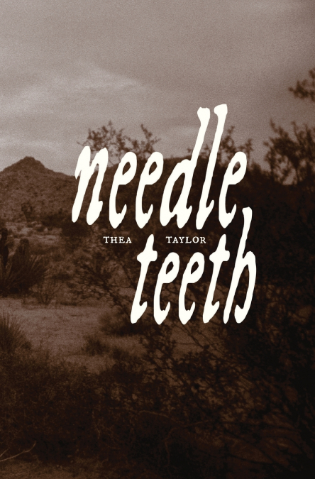 needle teeth