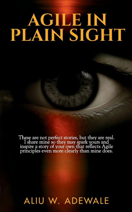 Agile In Plain Sight