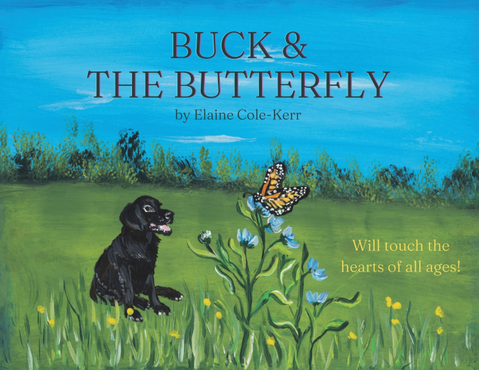 Buck & the Butterfly