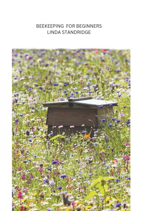 Beekeeping for Beginners
