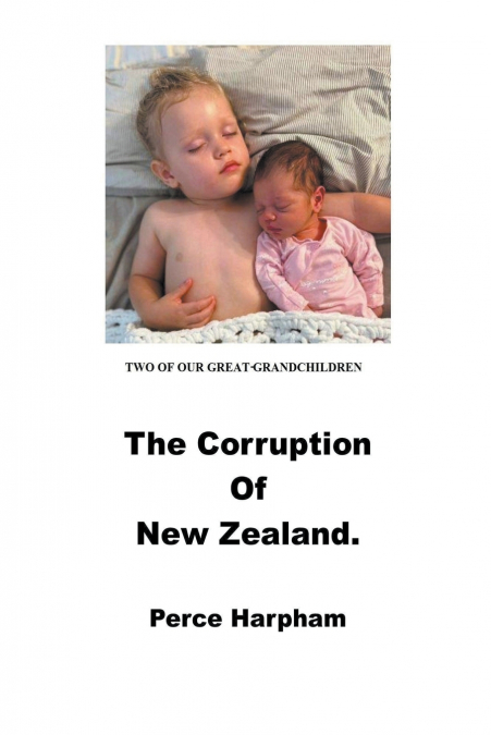 The Corruption Of New Zealand