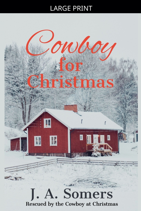 Cowboy for Christmas