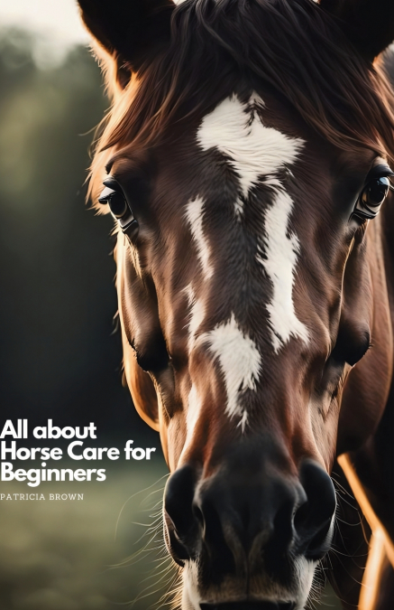 All about Horse Care for Beginners