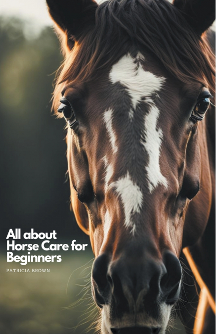 All about Horse Care for Beginners