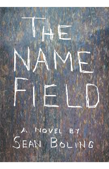 The Name Field