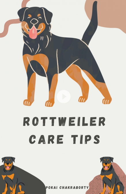 Rottweiler Care Tips