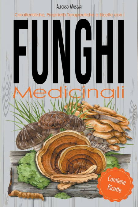Caratteristiche, Proprietà Terapeutiche e Ricette con i Funghi Medicinali
