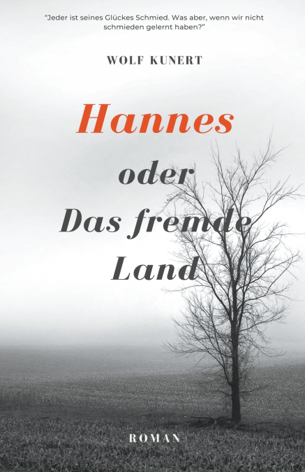 Hannes oder Das fremde Land