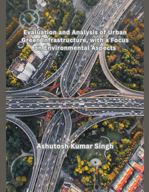 Evaluation and Analysis of Urban Green Infrastructure, with a Focus on Environmental Aspects