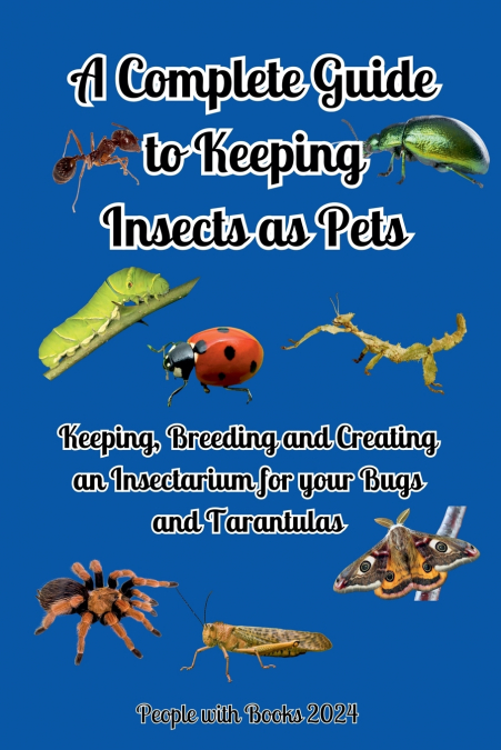 A Complete Guide to Keeping Insects as Pets