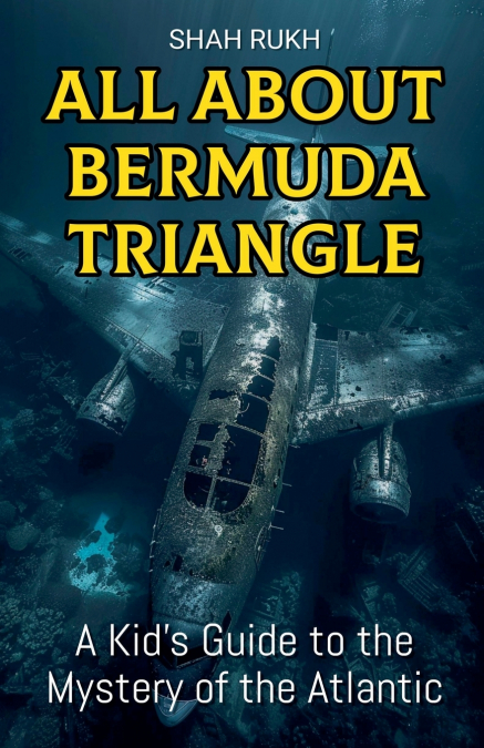 All About Bermuda Triangle