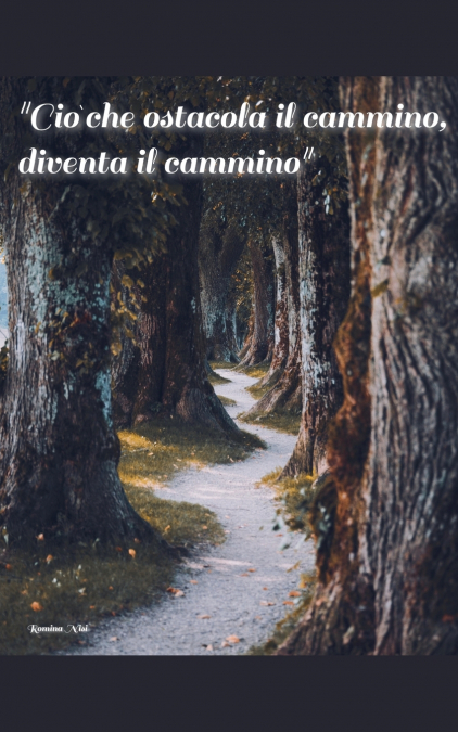 'Ciò che ostacola il cammino, diventa il cammino'