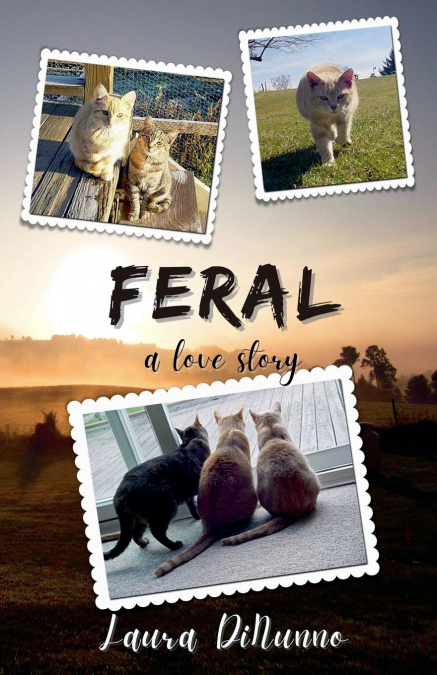 Feral