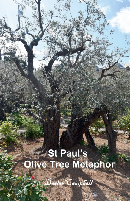St Paul’s Olive Tree Metaphor