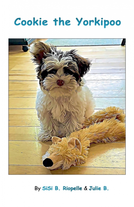 Cookie the Yorkipoo