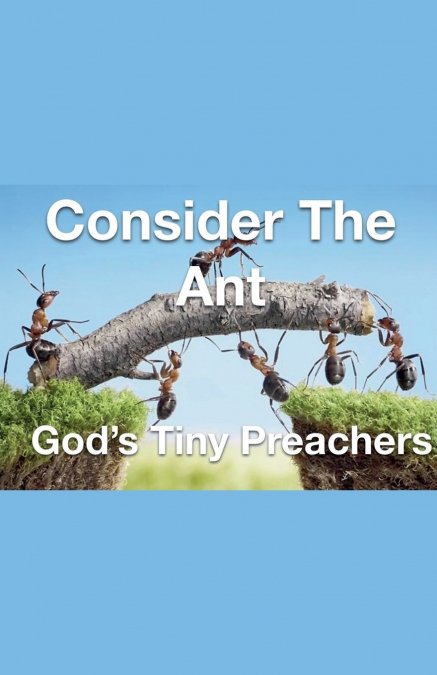 Consider The Ant - God’s Tiny Preachers