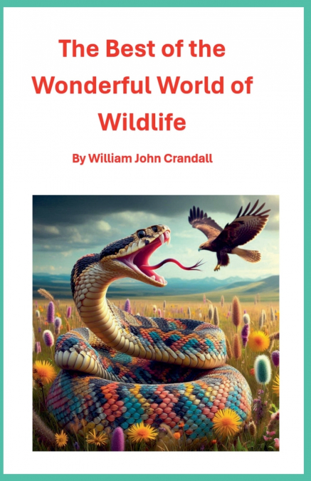 The Best of the Wonderful World of Wildlife