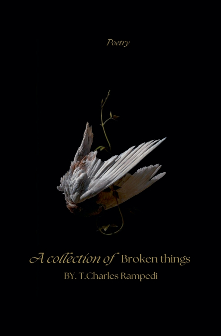 A Collection Of Broken Things