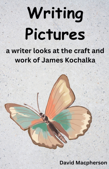 Writing Pictures