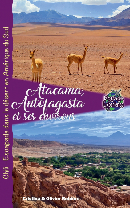 Atacama, Antofagasta et les Environs