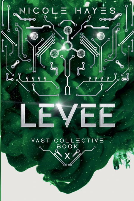 Levee