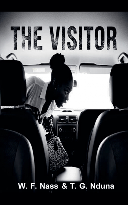 The Visitor
