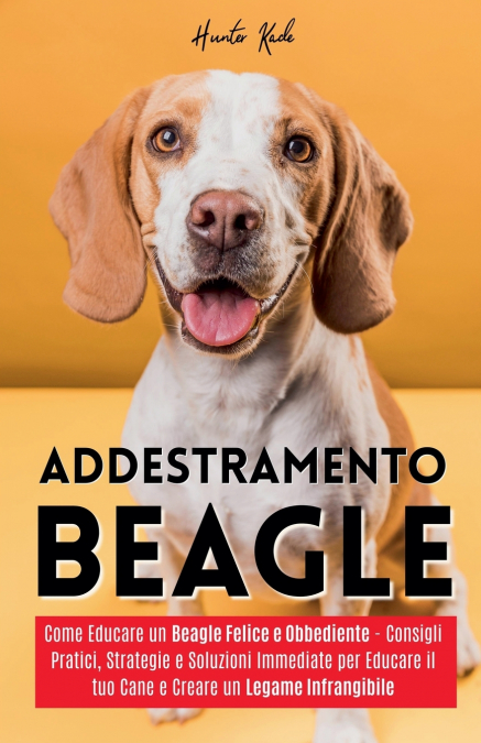 Addestramento Beagle
