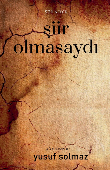 Şiir Olmasaydı